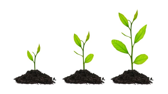 Growing is part of life, and being resilient means you see chances for growth for yourself whenever you face a problem.