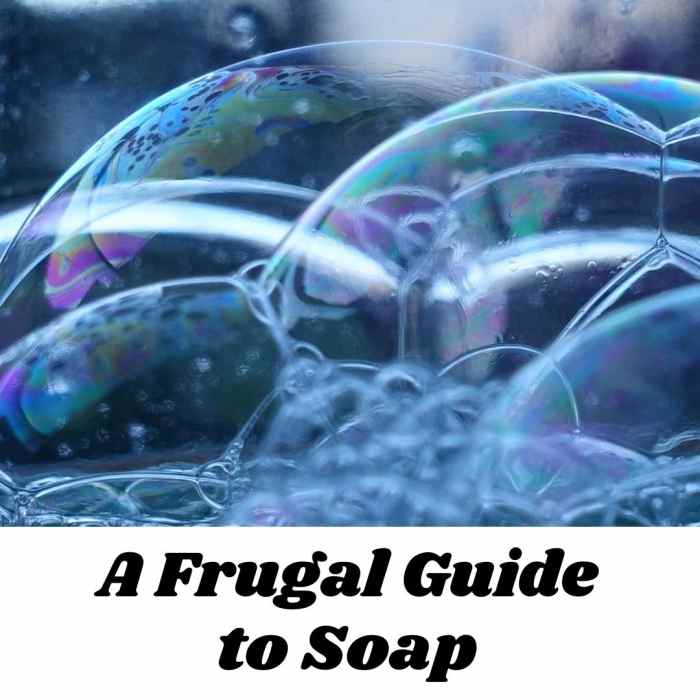 Learn all about soaps and cleaners you need on a budget