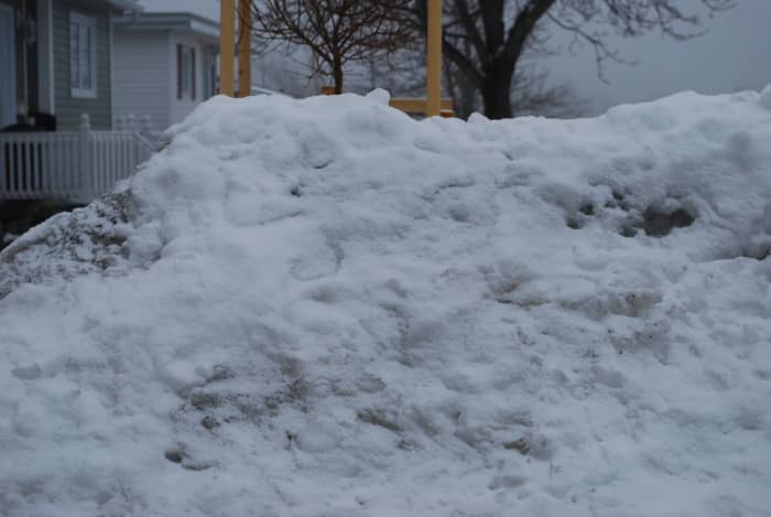 A bank of dirty snow can yield an entire army of faces. How many can you see? I stopped marking them at 22, it was getting a little crowded.