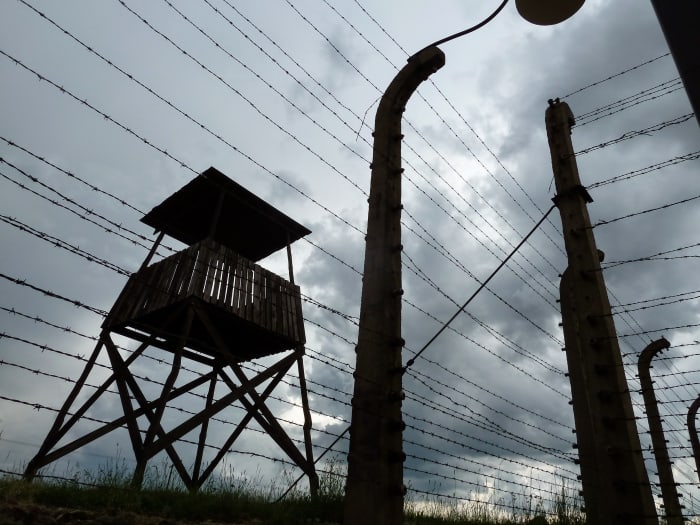 “Dehumanization is arguably the most morally dangerous intergroup bias, having played a pivotal role in many wars and genocides throughout history"