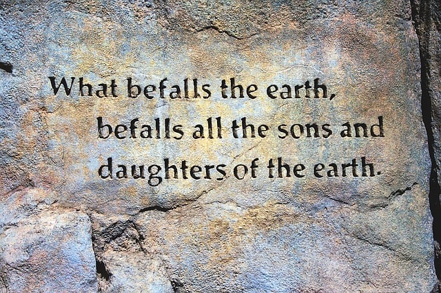 The tragedy of humanity is expressed poignantly through poetry.