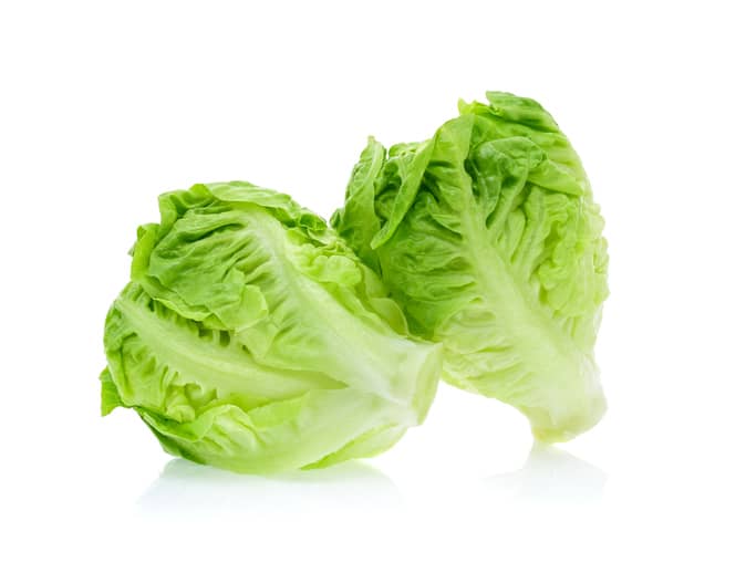 To teach kids about lettuce and other healthy foods, use lessons involving music, movement, and recipes in class.