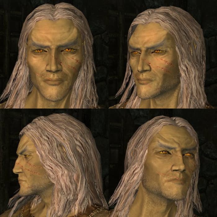 Some races have features that are difficult to modify. Male High Elves, for example, have pronounced chins and eyebrows. In cases like these, you have to build your character around existing limitations.