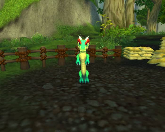 Your hatchling won't grow until you become revered with Order of the Cloud Serpent.