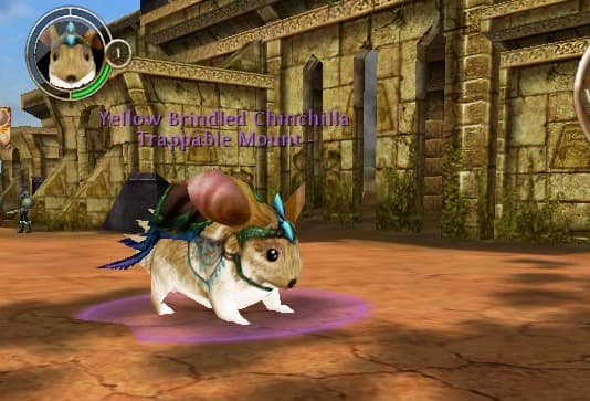 Level 2 Chinchilla in Whispering Islands, Vega Square.