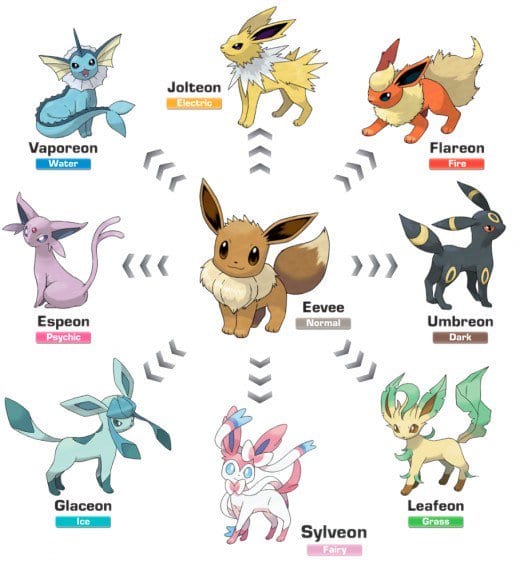 Top 10 Awesome Facts About Eevee From 