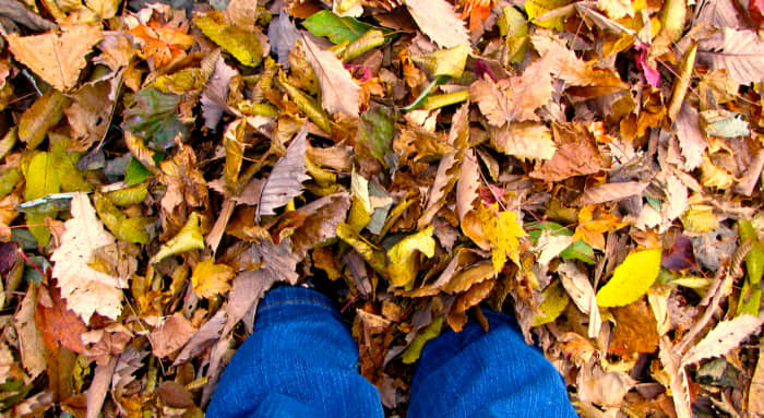 Photography (and walking) helps me relax, focus on my breathing and turn my brain off.