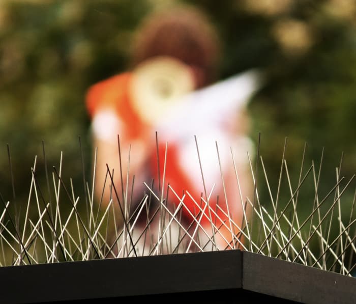 This art project represents what MS patients for years knew all know well: a life with too many needles. There are now oral medications, but as with all medicines, be sure to thoroughly understand their side effects.
