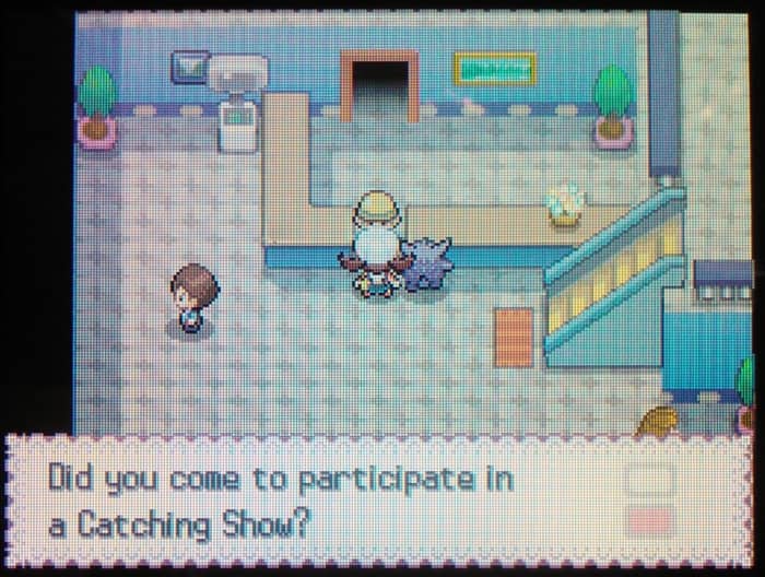 Pal Park allows players to participate in a "catching show" of transferred Pokémon.
