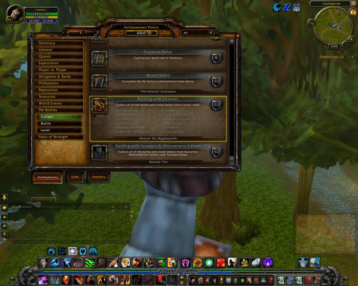 This pet-collecting achievement called "Raiding with Leashes" awards a unique pet.