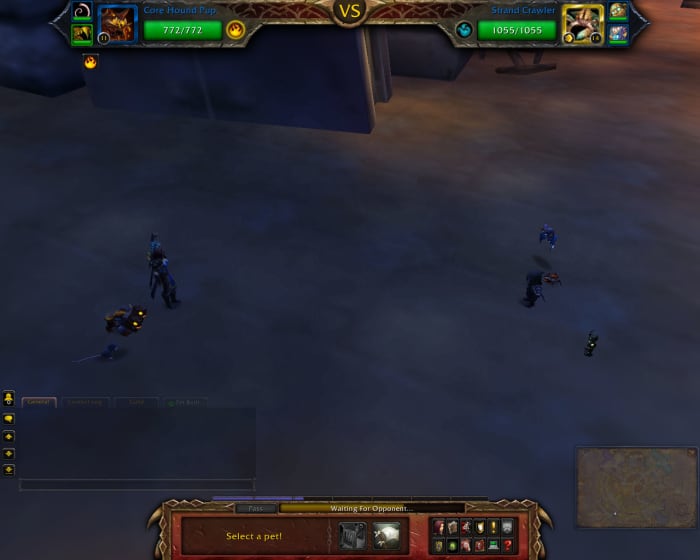 PVP Pet Battles are completely anonymous aside from the pets that battle.