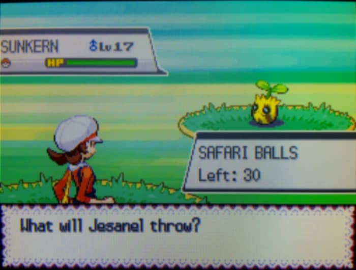 When in the Safari Zone, you are limited to using Safari Balls when catching Pokemon.
