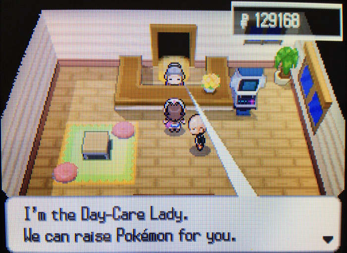 The Day-Care Couple help raise your Pokémon for a fee of 100 per level.