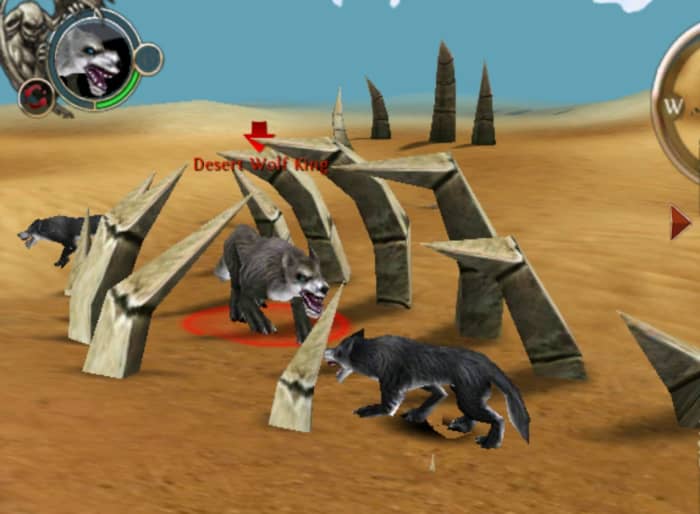 The Desert Wolf King Picture was taken in the far south.
