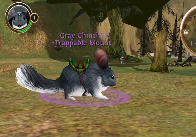 Grey Chinchilla in Akan's Field in Order and Chaos
