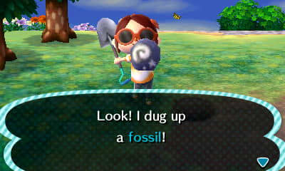 Fossils are fun - you can donate new ones to the museum, and sell the extras!