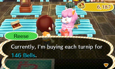 If you talk to Reese at ReTail, she will tell you the current turnip prices for the day.