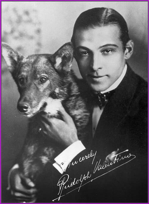 This vintage 1920s photograph of famed silent film star Rudolph Valentino appears to be signed in white ink, but in fact, it's a pre-printed facsimile "signature."