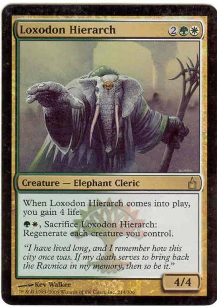 Top 10 Elephants in 