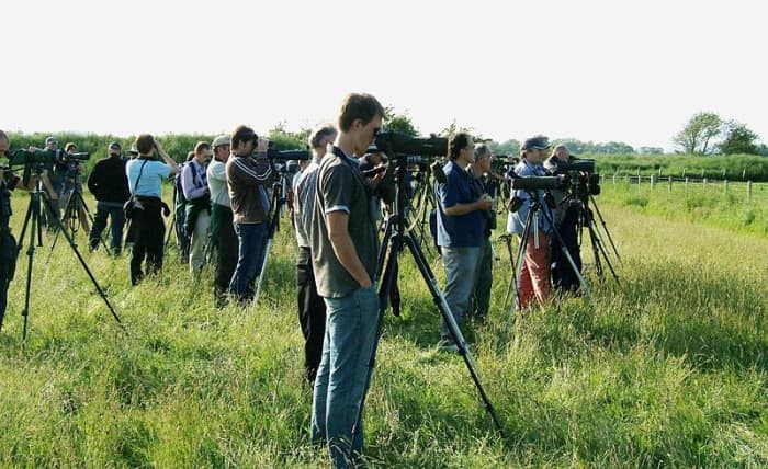 Birders/Twitchers at Caerlaverock, Scotland back in June 2007 watching just the fifth White-tailed Lapwing to be recorded in Britain.