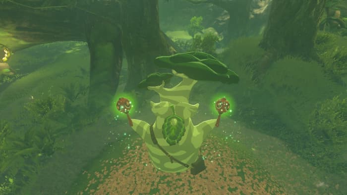 All Hestu Locations in "The Legend of Zelda: Breath of the Wild"