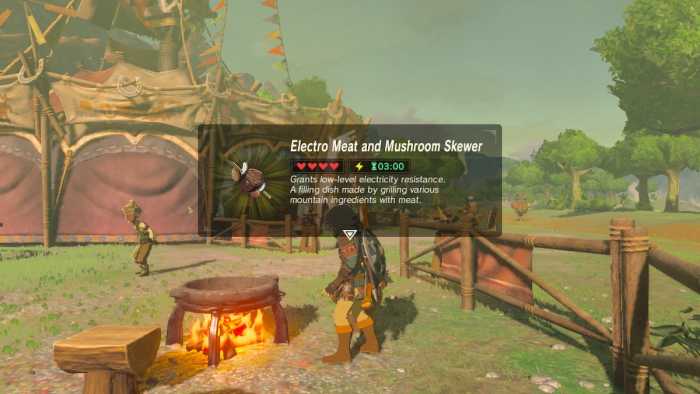 Cook food instead of eating it raw for better stat upgrades and to fill more hearts!