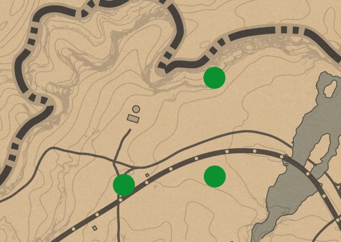 Three places I have been "attacked" from Cougars all around the Doverhill lab. You can also ride up and down Roanoke Ridge, but this is where I always go. Switch sessions if necessary. 