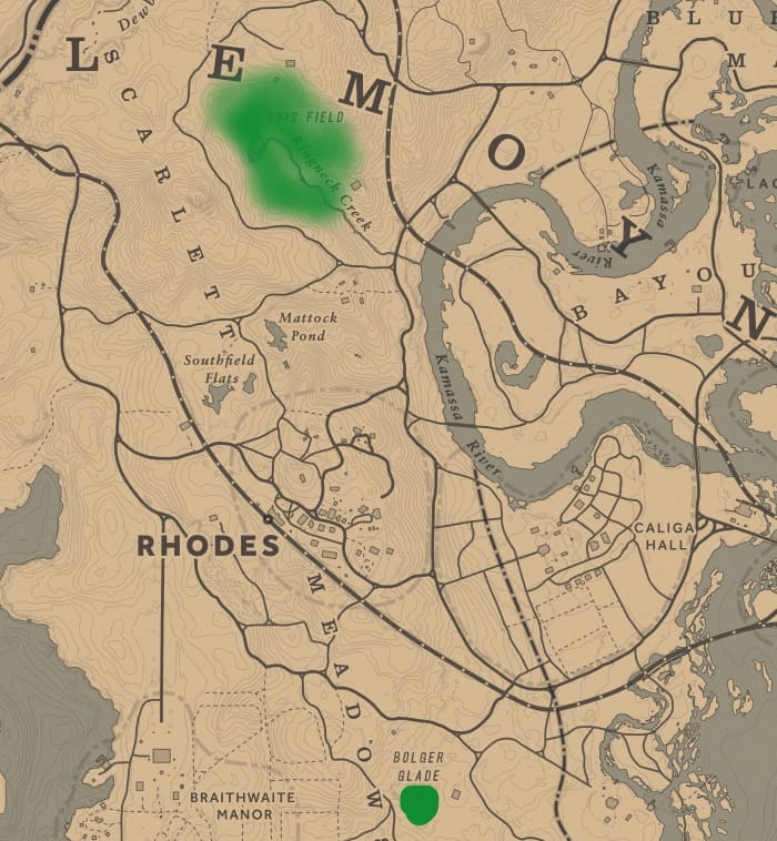 The green dot/smudge is where you can find at least two Chipmunks for this Challenge. The green highlighted area, Ringneck Creek, is also a good place to search. 