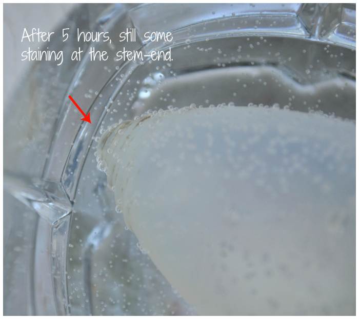 Best Ways to Remove Stains From Your Silicone Menstrual Cup My Tips