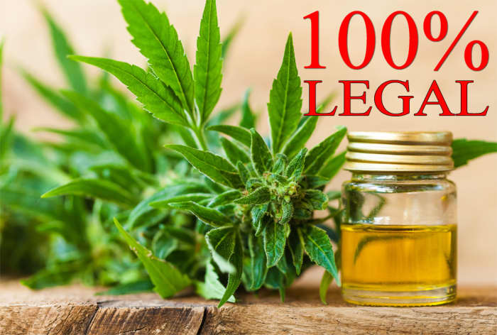 Hemp Oil is 100% legal, does not contain psychoactive substances and has a large following by Psoriasis sufferers.