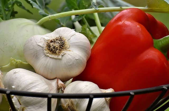 Good nutrition is important to everyone's health, but it isn't always as affordable as most would like.