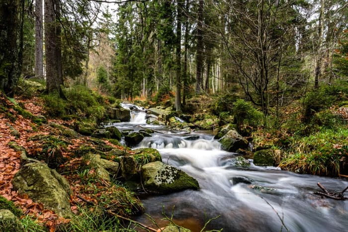 Complete peace and tranquility go with a creek or river situated in the wooded area.