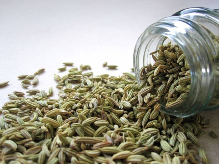 How to Make Fennel Tea Using Seeds - RemedyGrove