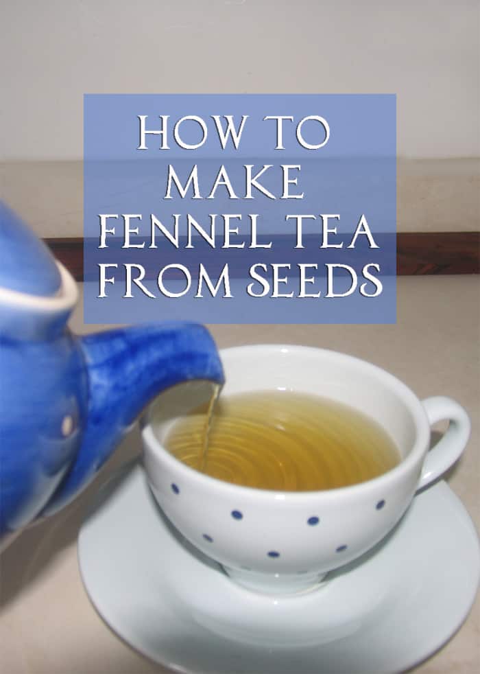 How to Make Fennel Tea Using Seeds RemedyGrove