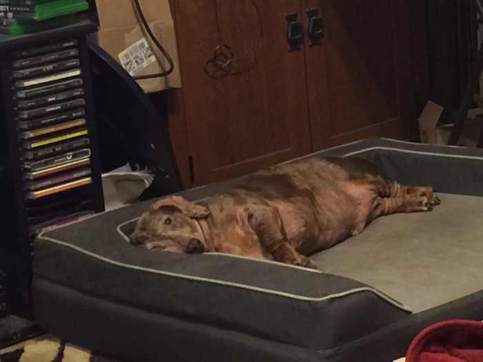 Is Your Mattress Toxic and Making You Sick? RemedyGrove