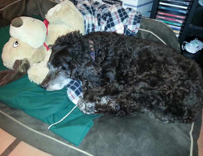 Is Your Mattress Toxic and Making You Sick? RemedyGrove