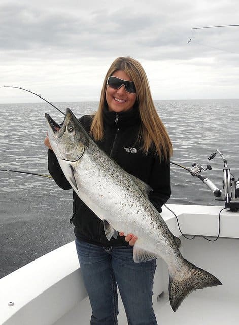 A massive Chinook Salmon caught while downrigger trolling. Chinook often hold much deeper in the water column than other salmon species, meaning downriggers are typically required when trolling for Chinook.