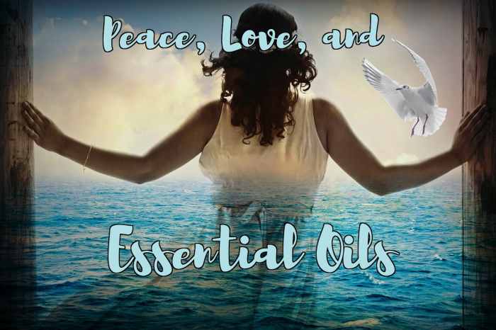 Learn more about essential oils, and get some recommendations on sets to get you started.