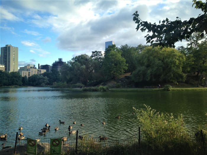The Harlem Meer provides many opportunities to get active in Central Park- fishing, jogging and people watching are just some of the popular activities around the large water body.