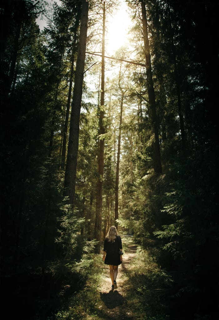 Every cell of organism, from trees to humans, are run on proteins.