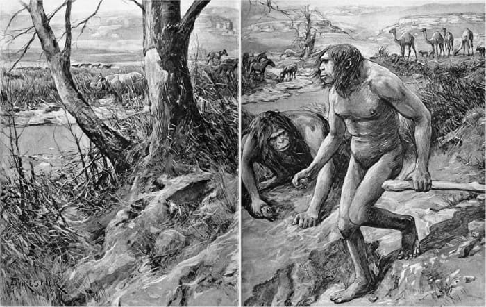 A fanciful depiction of Nebraska Man. Note camels, antelope, and rhinocerus in the background that did in fact live in North America.