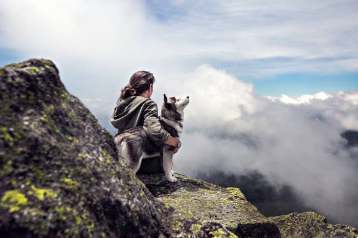 Taking your dog on hikes can be an extremely enjoyable experience. However, dogs do need special gear and considerations on the trail. Here are my top tips for hiking with your furry friend safely and responsibly.