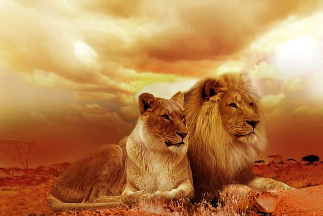 Friends Side by Side Through Life's Trials