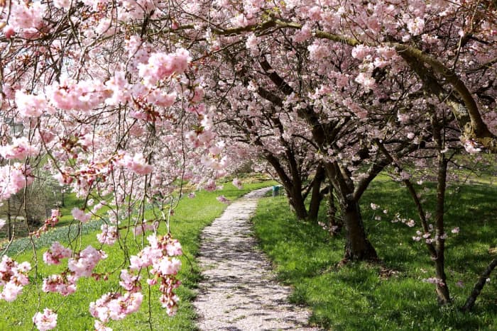 If you're looking for a place to relax, here are 10 of the best (and most beautiful) parks in Budapest.