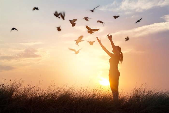 An important goal is learning to function effectively without the substance and how to replace the addictive behaviors with healthy alternative behaviors.