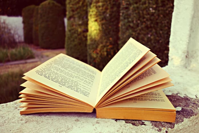 Classic books, have lasted the test of time. The plots of a few have been noted to have been inspired by the dreams of the writers.