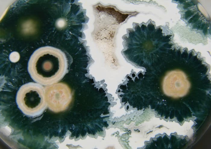 A close up shot of the intricate patterns found in ocean jasper.