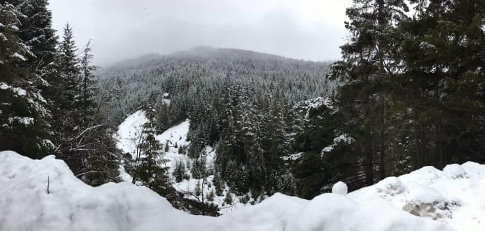 Snowfall on Blackcomb Peak in Whistler, BC is a crazy change in weather from the warmth in Houston, TX.