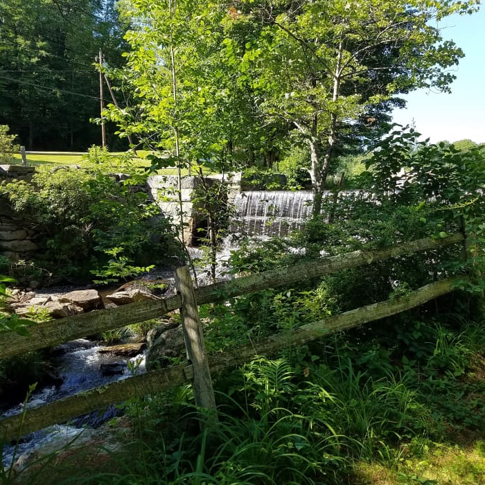 Waterfall at the entrance to the Rowe Camp and Conference Center in the Berkshires (MA) A healthy dose of greens to eat and spending time in nature are both good for body and soul!