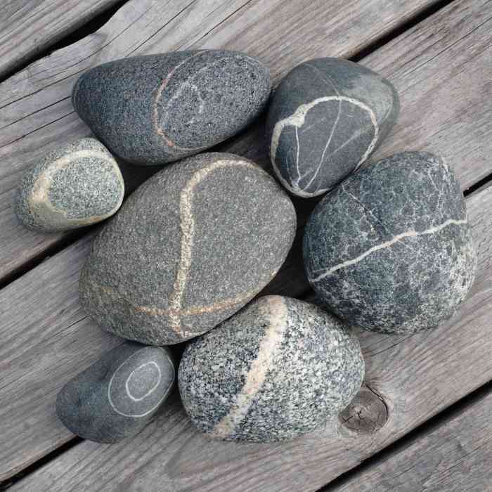 Common Beach Stone Identification (Including Dolomite, Quartz